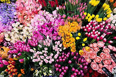 《心灵杀手2》幕后开发者日志：介绍萨加·安德森